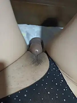 Pokazy przed kamerką – KITTEN-10