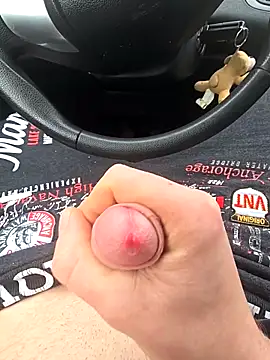 Titanhoottのウェブカメラショー