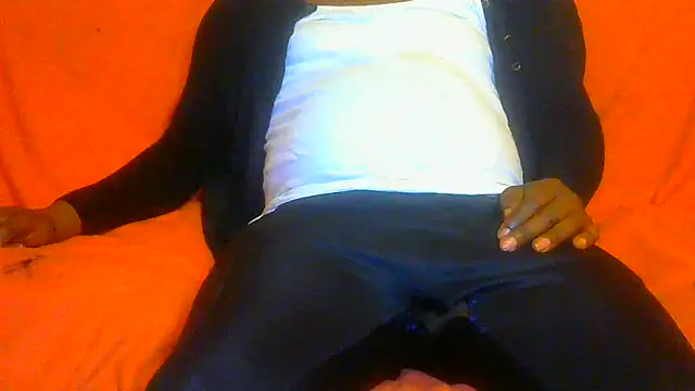 Show webcam de TransCya2024