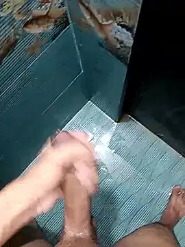 Show de webcam de Desi_lund10