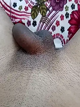 Desi_lund10 网络视讯表演
