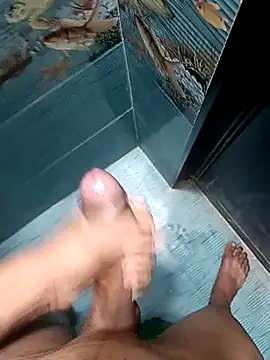 Desi_lund10 웹캠 쇼