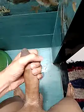 Desi_lund10 网络视讯表演