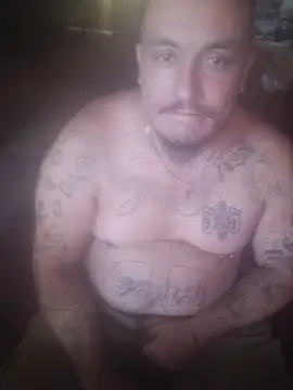 Dick4yourholes' Webcam Show