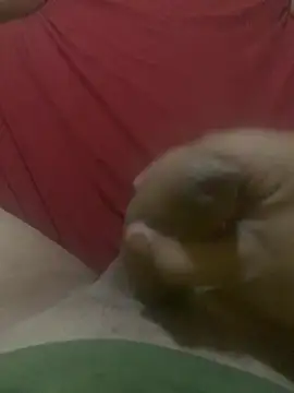 taldogostos0 ওয়েবক্যাম শো