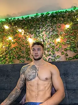 alexander_collin02n Webbikameraesitys