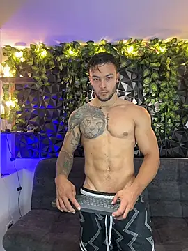 alexander_collin02n Webbikameraesitys