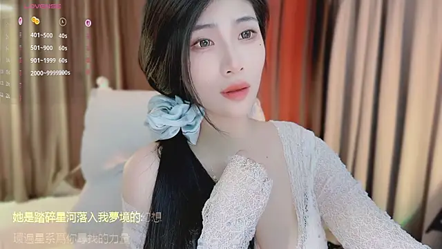 Vaidurya-Yolo 网络视讯表演