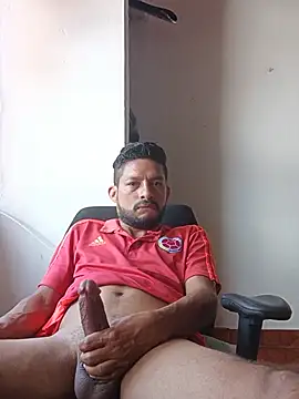 guestar webcam show