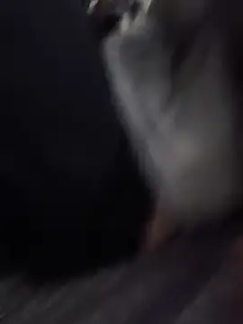 عرض كام ZettKogua