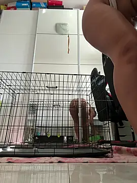 jennifer11772 Live XXX-Chat