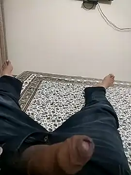 Delhi28のウェブカメラショー