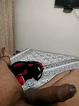 Delhi28n Webbikameraesitys