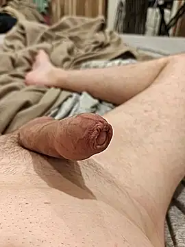 הופעת וובקאם של EuroSausage