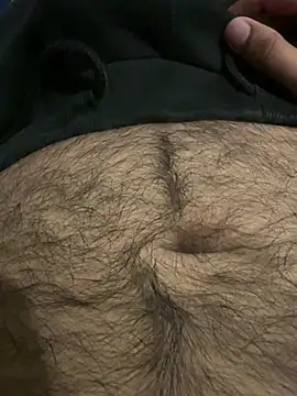 gsv2869 Webcam Show