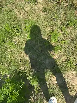 justmilaa Webcam-Show