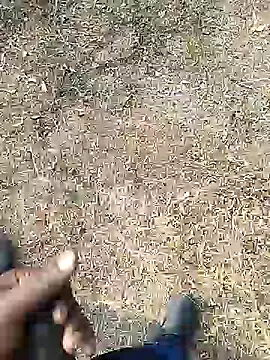 Show modela Mrveda66 na web-kameri