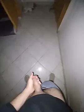 عرض كام NNoe1Coxl