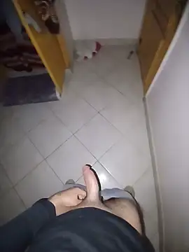 عرض كام NNoe1Coxl