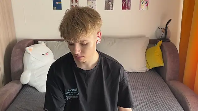 metarion 网络视讯表演