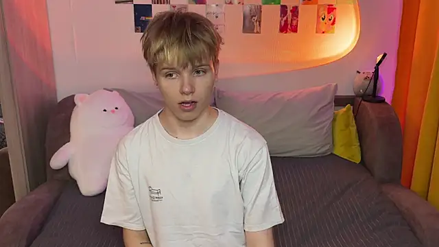 metarion Show Webcam