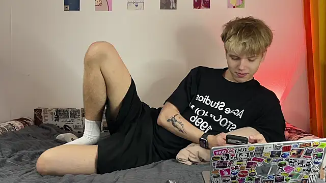 Show Webcam de metarion