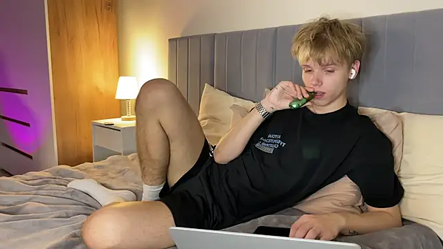 Show webcam de metarion