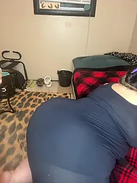 Show Webcam de Tillymarie