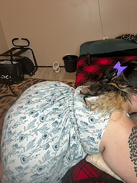 Tillymarie Webcam show