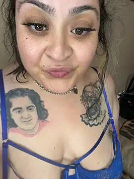Show Webcam de Tillymarie