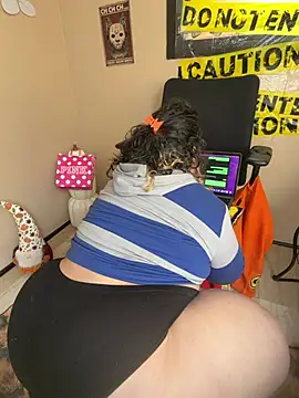 Show Webcam de Tillymarie