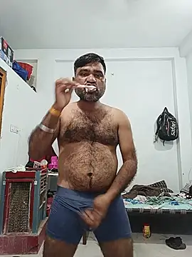 Show Webcam de pintuS40