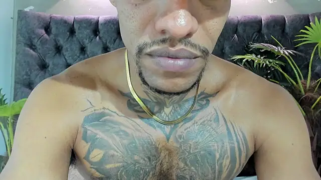 Salomon_koude 웹캠 쇼