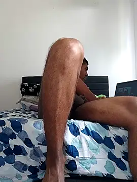 Ertestock Webcam Show