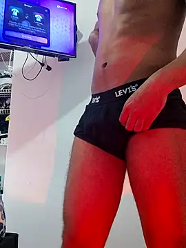 Show modela Ertestock na web-kameri