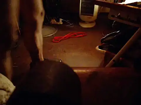 amoralall – webcam-show