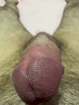 Show de Arabic_HairyXXX na webcam