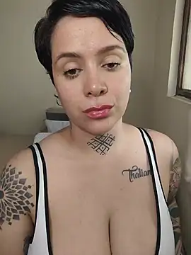 Show webcam de KatInk