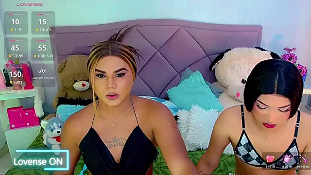 party_duo_trans' Webcam Show