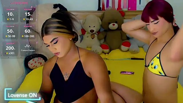 Show de webcam de party_duo_trans