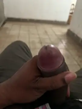 A-mira Pertunjukan Webcam