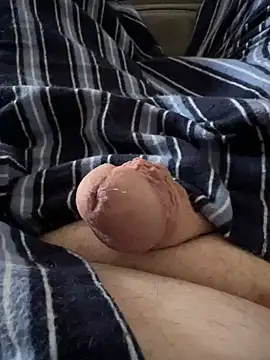 Show webcam de Leeandmick