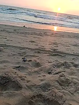 عرض كام 1010SumiT