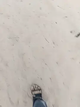 Pertunjukan Kamera Web 1010SumiT