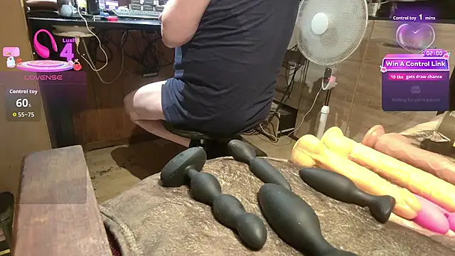 Show webcam de misteryman1956