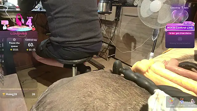 Show Webcam de misteryman1956