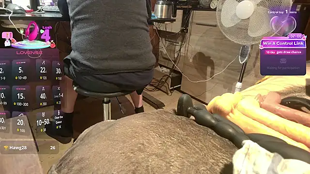 Show Webcam de misteryman1956