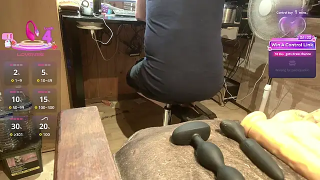 Show webcam de misteryman1956