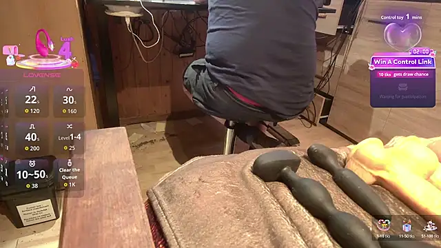 Show webcam de misteryman1956