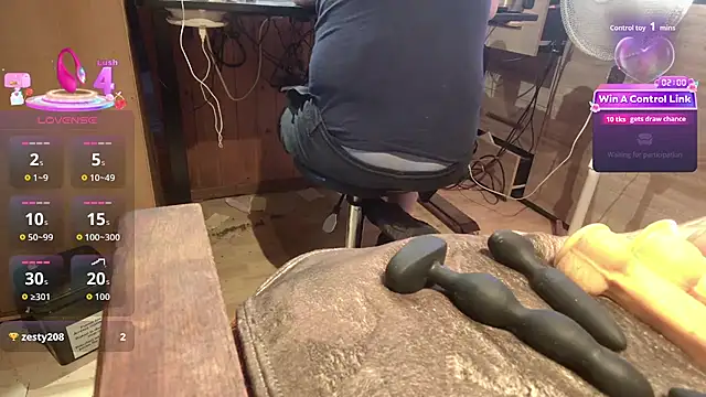 Show Webcam de misteryman1956